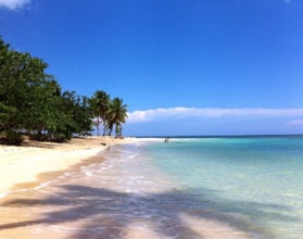 Klimatabelle Punta Cana: Klima, Temperatur & Wetter für Punta Cana